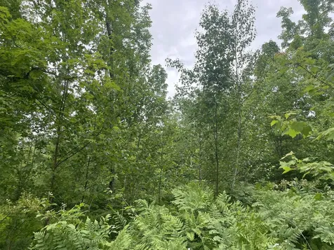 19 Swan Road New Sharon ME 04955