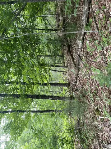 19 Swan Road New Sharon ME 04955