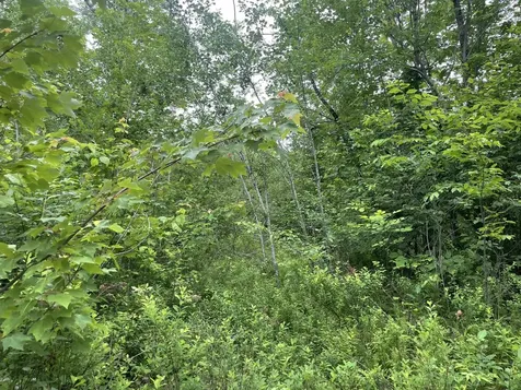 19 Swan Road New Sharon ME 04955