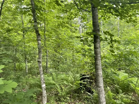 19 Swan Road New Sharon ME 04955