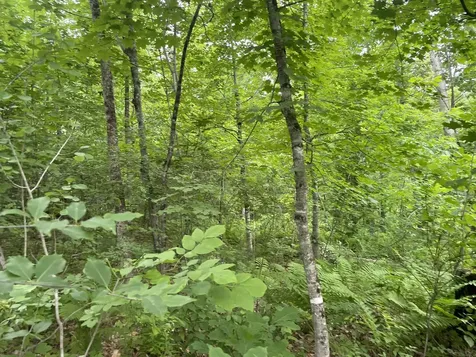19 Swan Road New Sharon ME 04955