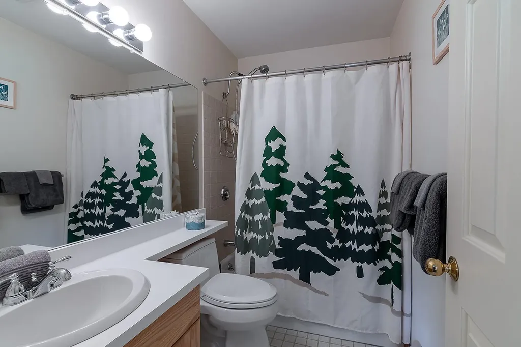 444 Snowflower Court Carrabassett Valley ME 04947