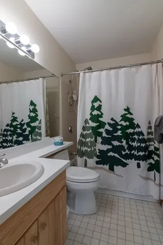 444 Snowflower Court Carrabassett Valley ME 04947
