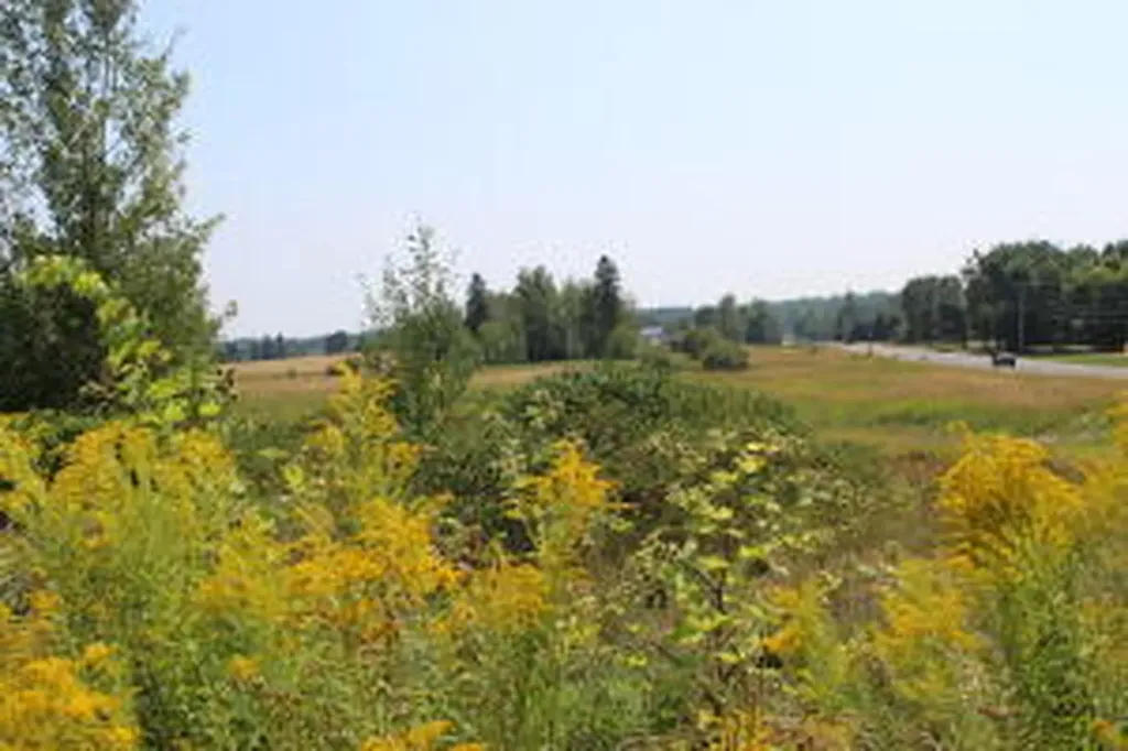 1297 U.s. 1 Littleton ME 04730