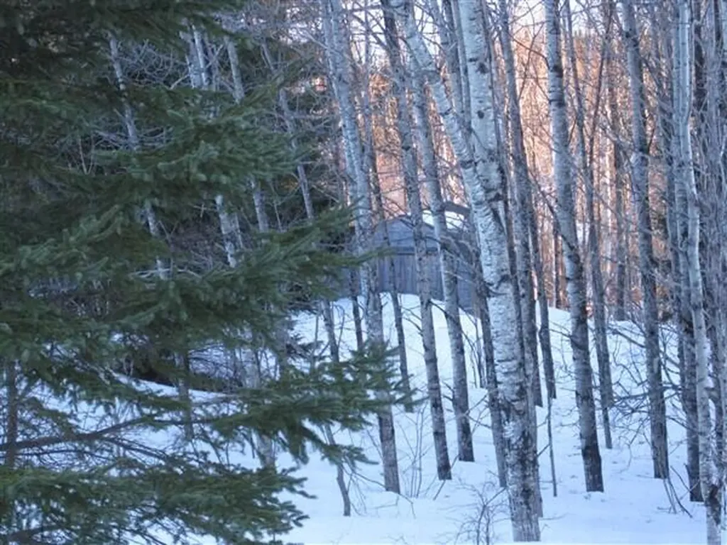 687 N Perley Brook Road Fort Kent ME 04743