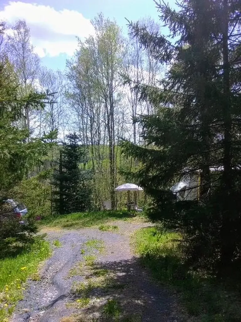 687 N Perley Brook Road Fort Kent ME 04743