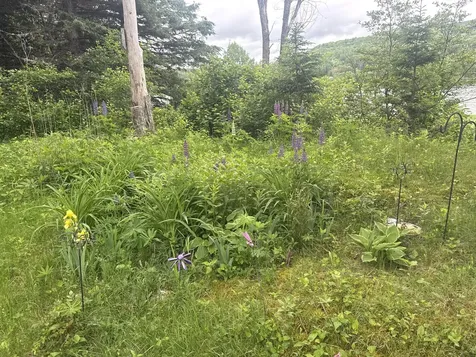 687 N Perley Brook Road Fort Kent ME 04743