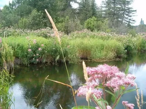 687 N Perley Brook Road Fort Kent ME 04743