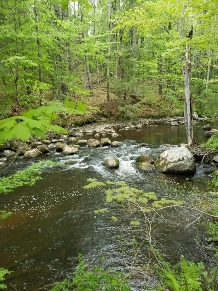 0 Hall Road Windham ME 04062