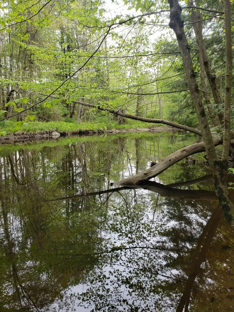 0 Hall Road Windham ME 04062