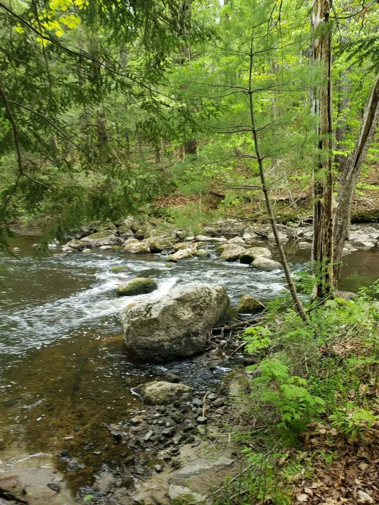 0 Hall Road Windham ME 04062