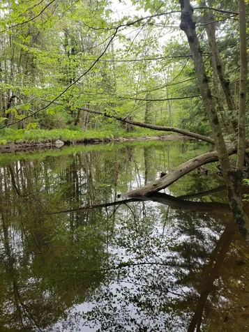 0 Hall Road Windham ME 04062
