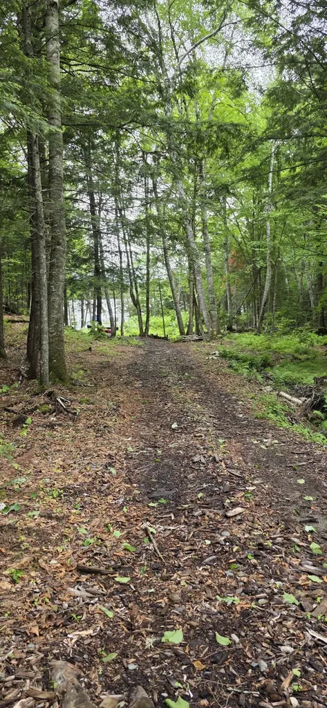 290 Allagash Road Greenville ME 04441