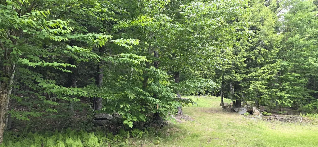 290 Allagash Road Greenville ME 04441