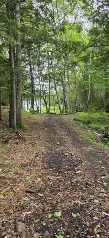 290 Allagash Road Greenville ME 04441