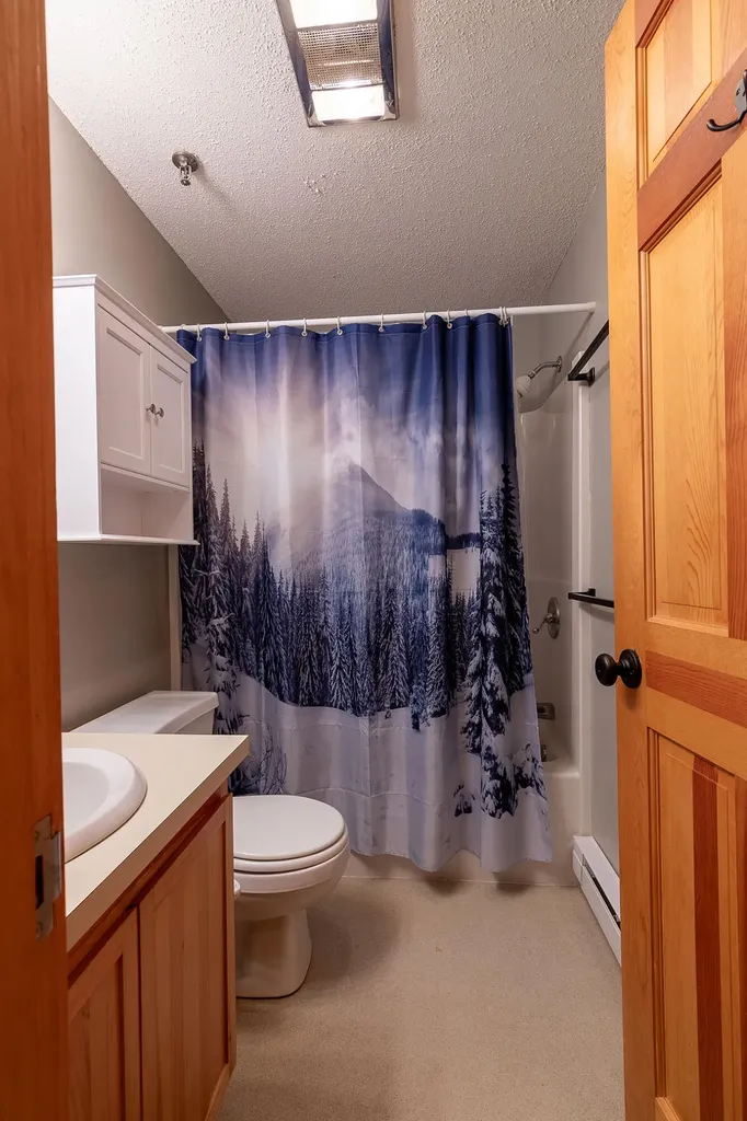 2527 Trout Brook Lane Carrabassett Valley ME 04947