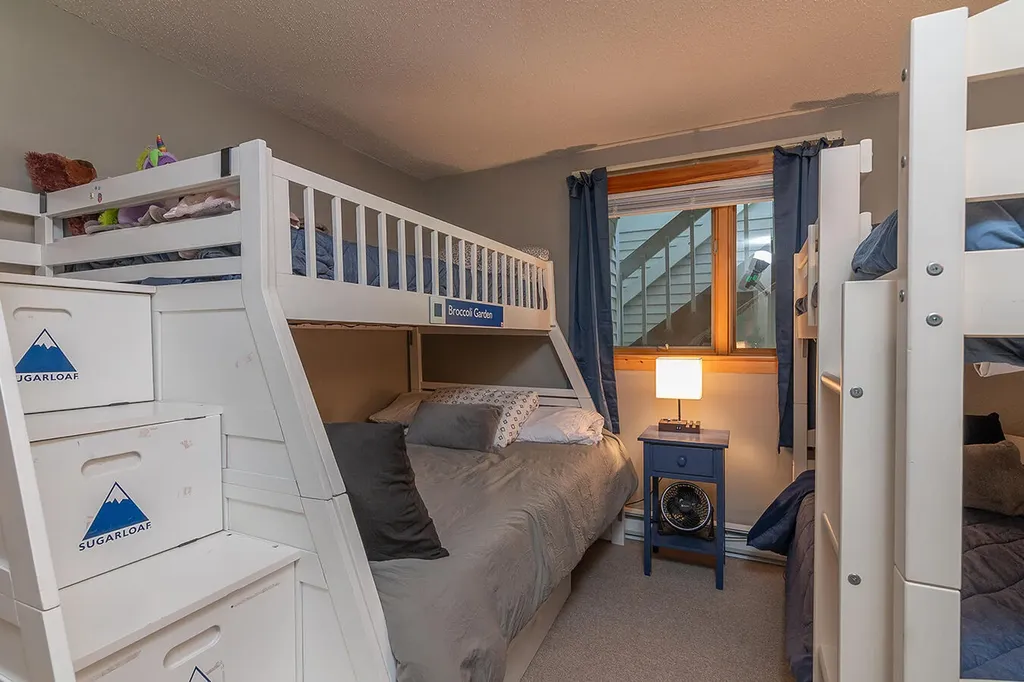 2527 Trout Brook Lane Carrabassett Valley ME 04947