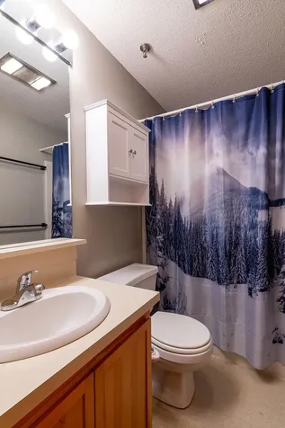 2527 Trout Brook Lane Carrabassett Valley ME 04947