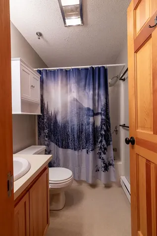 2527 Trout Brook Lane Carrabassett Valley ME 04947