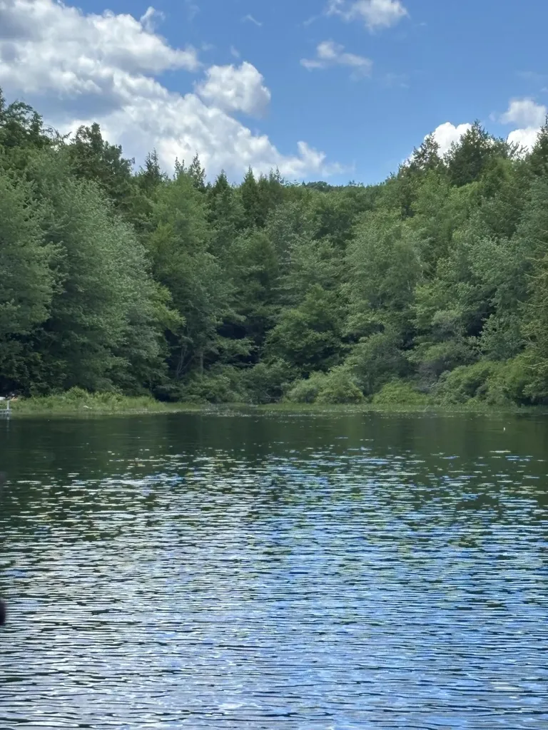 00 Brown Road Liberty ME 04949
