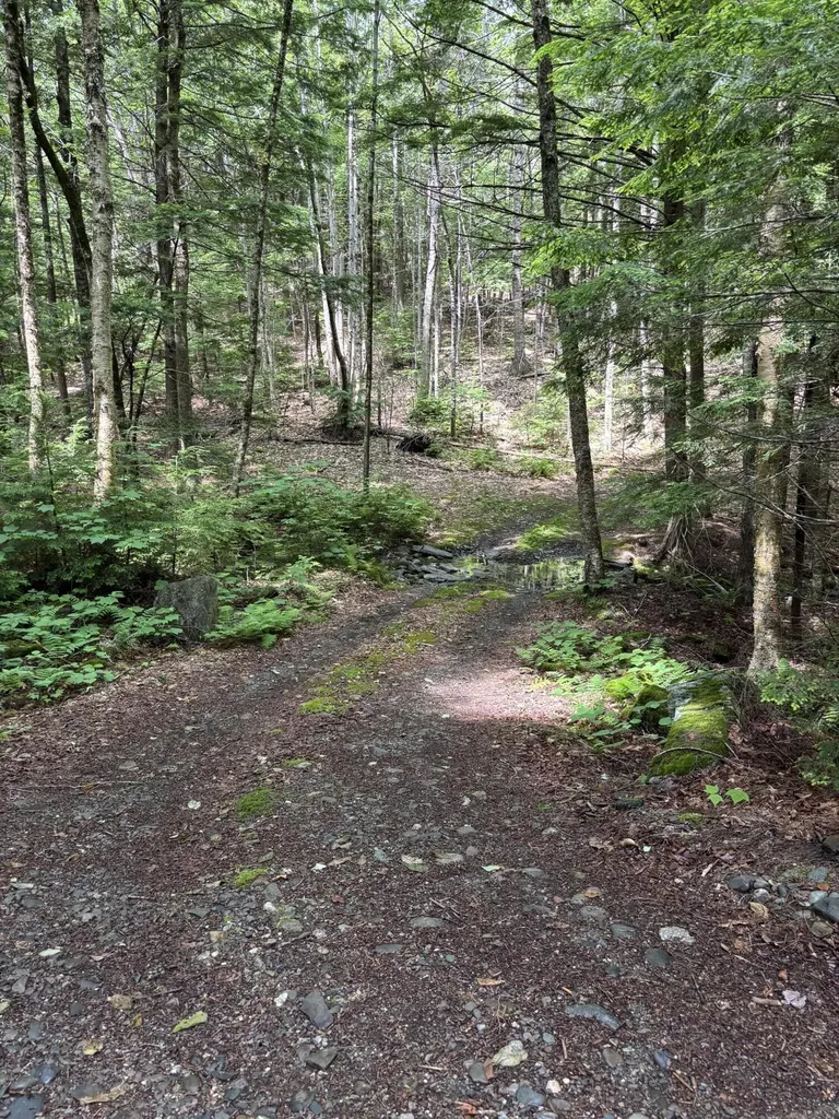 00 Brown Road Liberty ME 04949