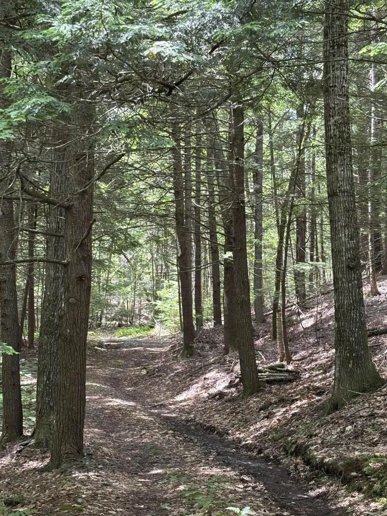 00 Brown Road Liberty ME 04949