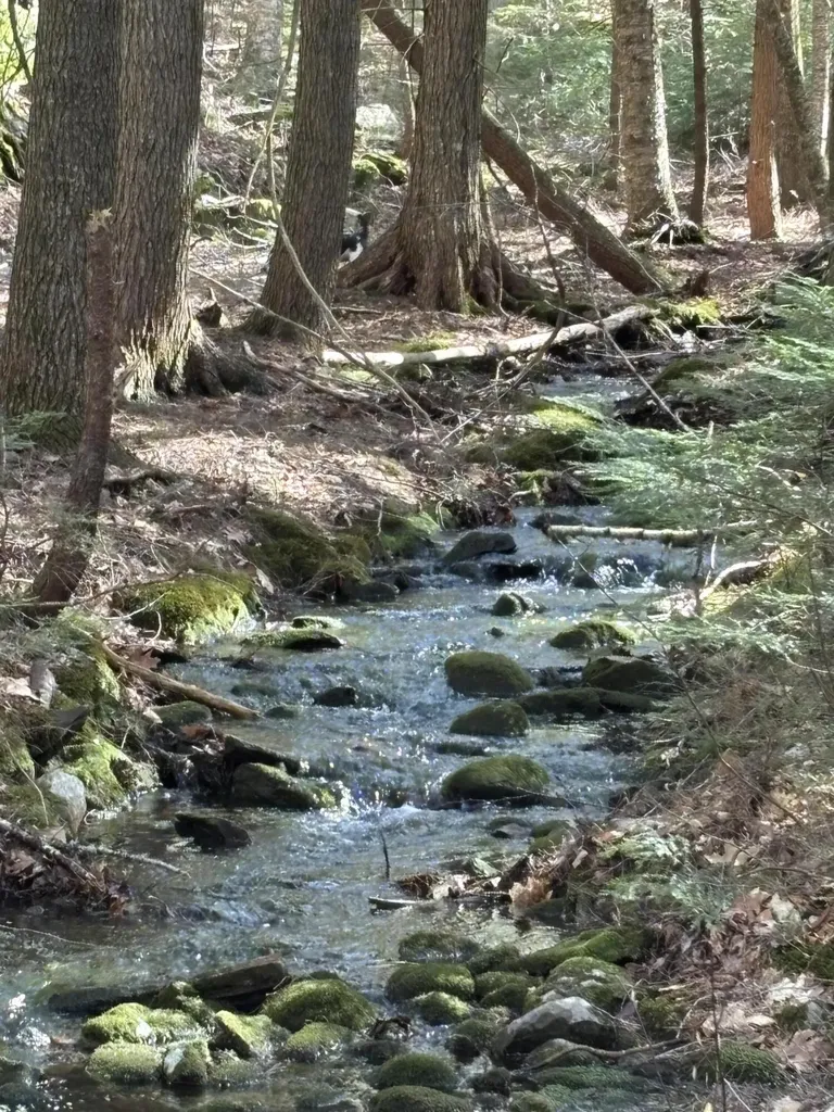 00 Brown Road Liberty ME 04949