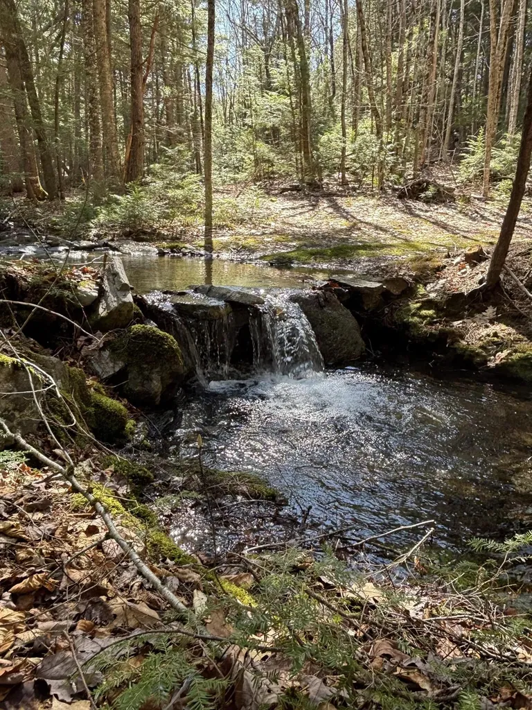 00 Brown Road Liberty ME 04949
