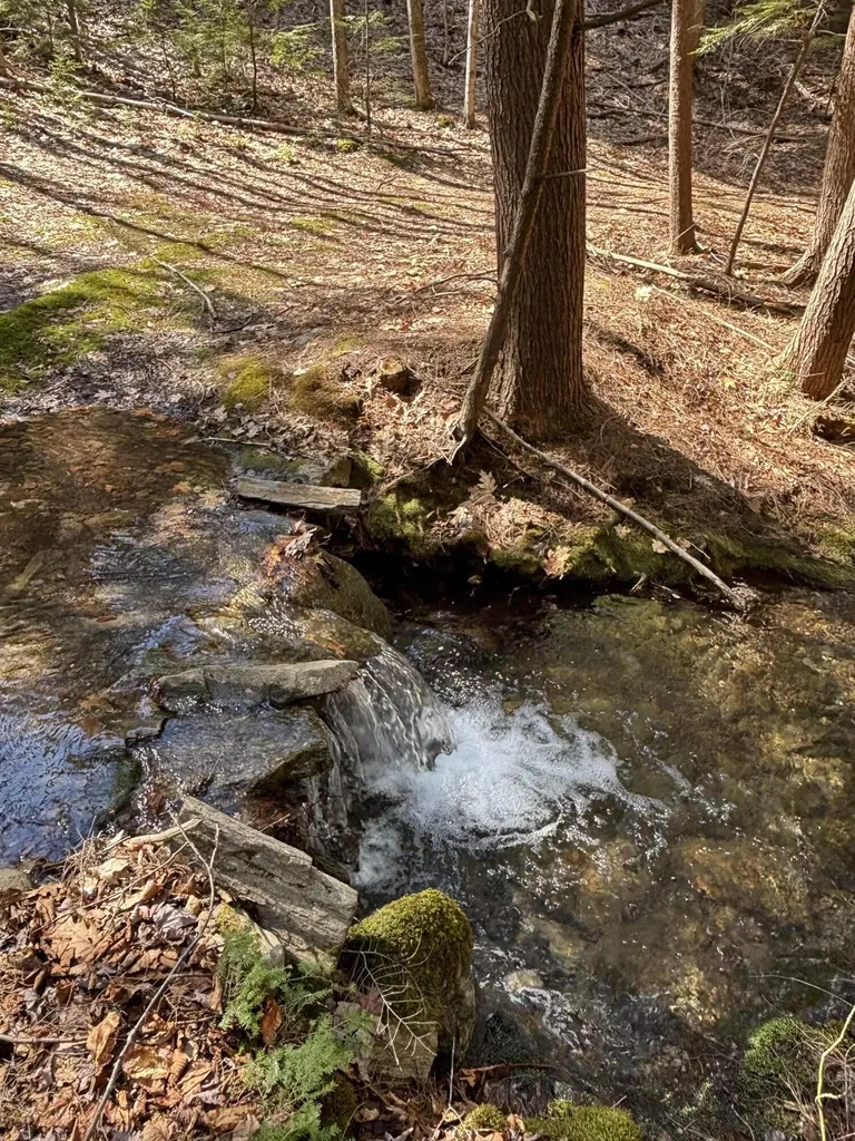 00 Brown Road Liberty ME 04949
