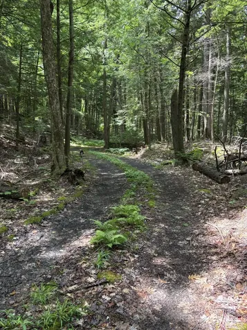 00 Brown Road Liberty ME 04949
