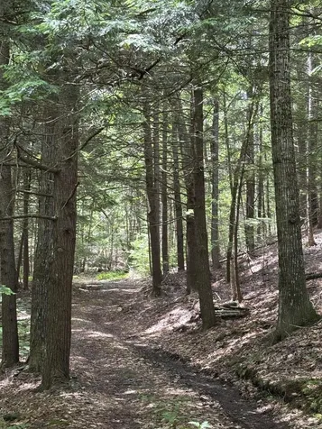 00 Brown Road Liberty ME 04949
