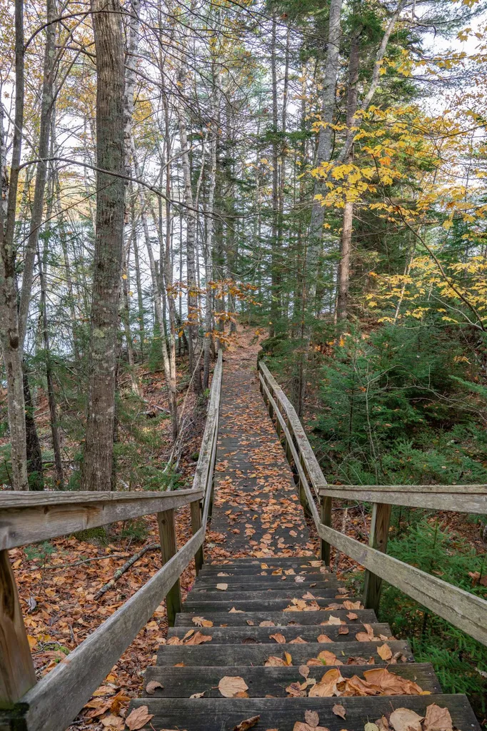 52 Oak Run Road Westport Island ME 04578