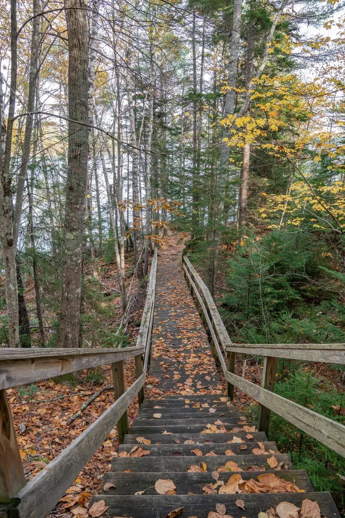 52 Oak Run Road Westport Island ME 04578