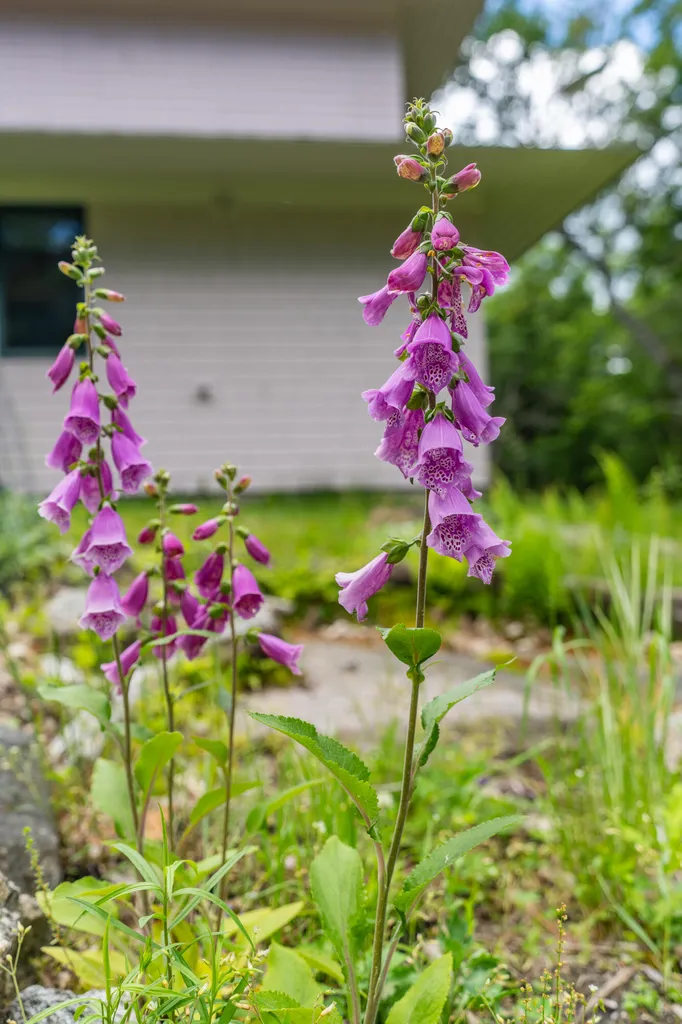 52 Oak Run Road Westport Island ME 04578