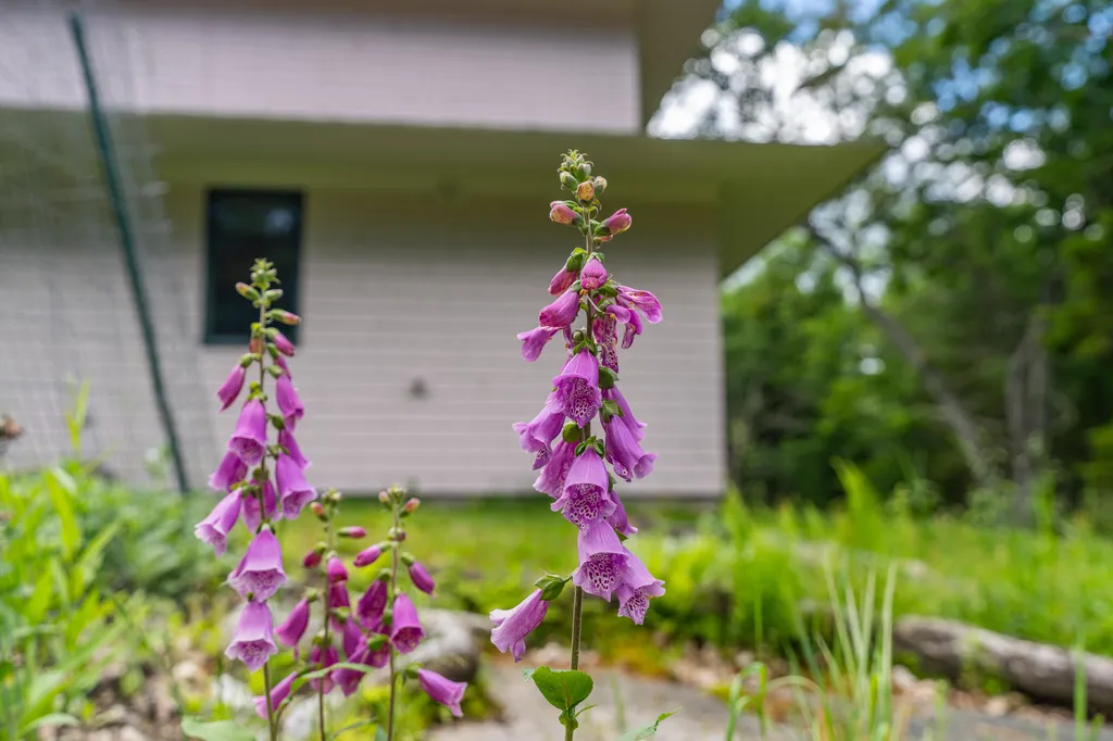 52 Oak Run Road Westport Island ME 04578