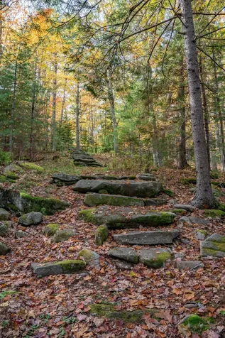 52 Oak Run Road Westport Island ME 04578