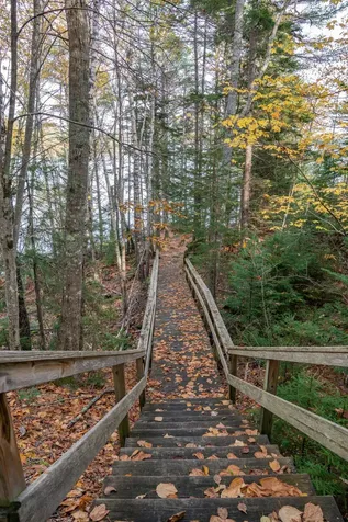 52 Oak Run Road Westport Island ME 04578