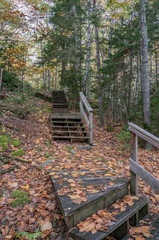 52 Oak Run Road Westport Island ME 04578