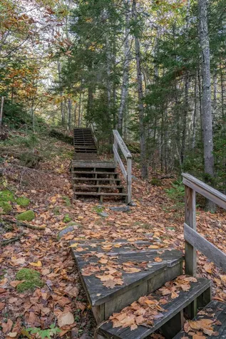 52 Oak Run Road Westport Island ME 04578