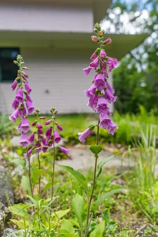 52 Oak Run Road Westport Island ME 04578
