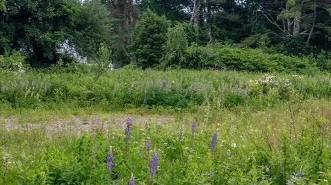 671 Rockland Street Rockport ME 04856