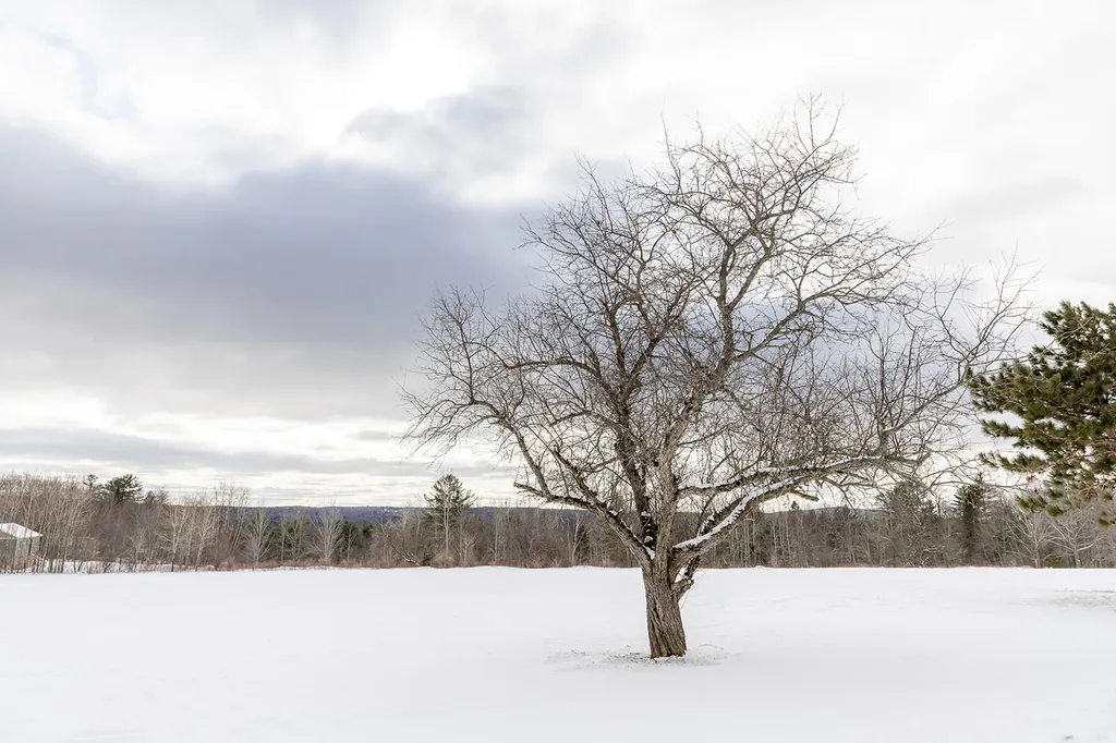 66 Bailey Hill Road Cambridge ME 04923