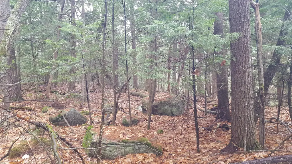 53 Johnson Road Windham ME 04062