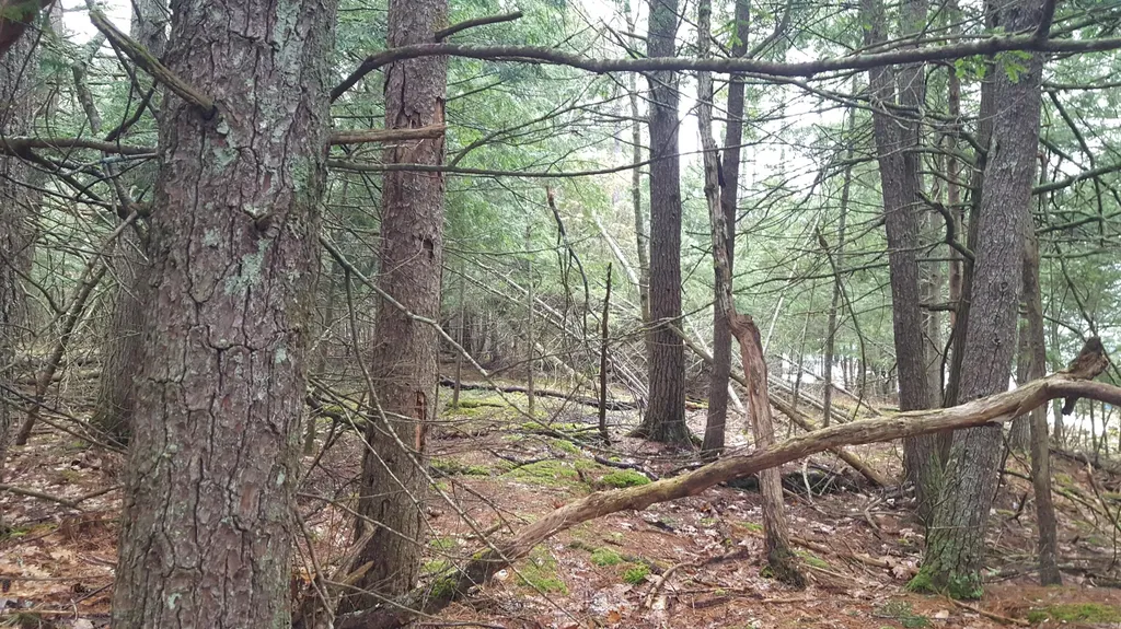 53 Johnson Road Windham ME 04062