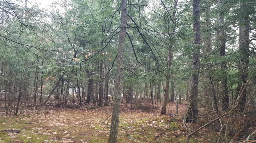 53 Johnson Road Windham ME 04062