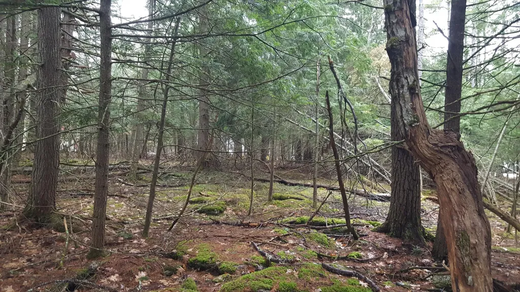 53 Johnson Road Windham ME 04062