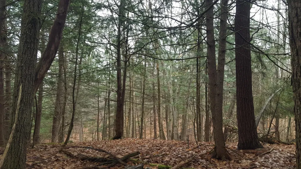 53 Johnson Road Windham ME 04062