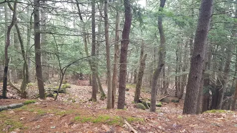 53 Johnson Road Windham ME 04062