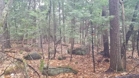 53 Johnson Road Windham ME 04062
