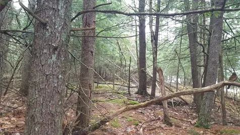 53 Johnson Road Windham ME 04062